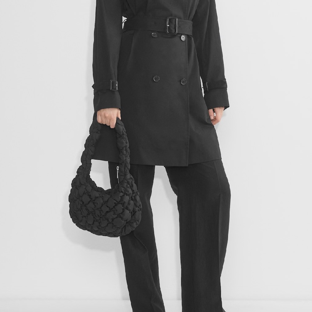 Aritzia Babaton Curator Bag